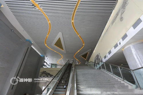 蒼南高鐵站充電樁銷售現(xiàn)場紀實 機動車充電新趨勢初現(xiàn)