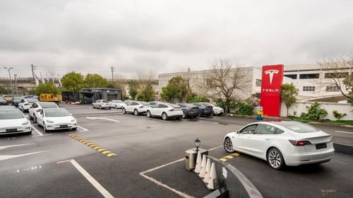 特斯拉2月國內新能源車銷量3958輛奪魁，集中式快速充電站成行業新焦點